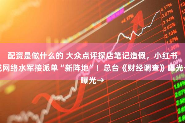 配资是做什么的 大众点评探店笔记造假，小红书成网络水军接派单“新阵地”！总台《财经调查》曝光→