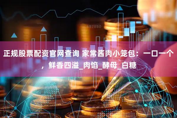 正规股票配资官网查询 家常酱肉小笼包：一口一个，鲜香四溢_肉馅_酵母_白糖